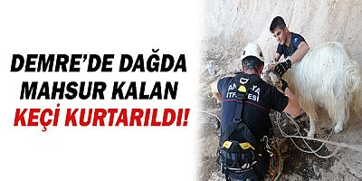 Demre’de dağda mahsur kalan keçi kurtarıldı!