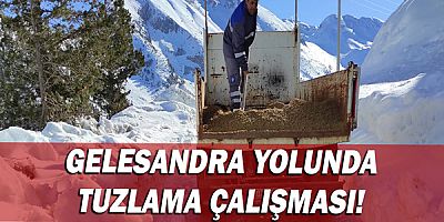 Gelesandra yolunda tuzlama çalışması!