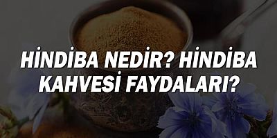 Hindiba Nedir? Hindiba Kahvesi Faydaları?