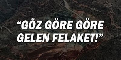 Özgür Karabat: Facia göz göre göre geldi!