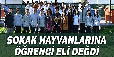 Sokak hayvanlarına öğrenci eli değdi