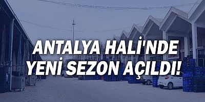 Antalya Hali'nde yeni sezon açıldı