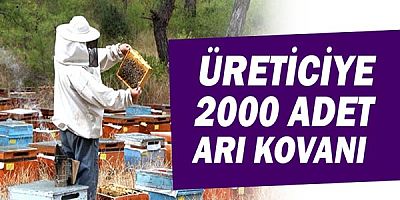 Arı üreticilerine ücretsiz arı kovanı!