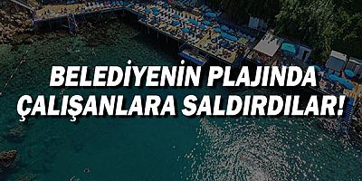  Belediyenin plajında çalışanlara saldırdılar!