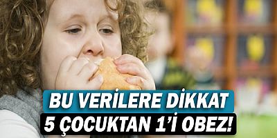 Bu Verilere Dikkat: 5 Çocuktan 1'i Obez!