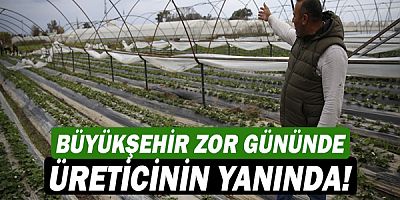 Büyükşehir zor gününde üreticinin yanında!