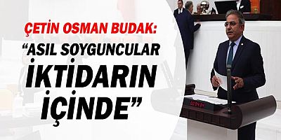 Çetin Osman Budak: Asıl soyguncular iktidarın içinde!