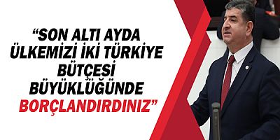 CHP Antalya Milletvekili Cavit Arı, 