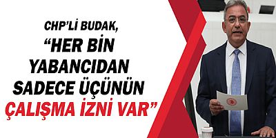 CHP'li Çetin Osman Budak, “Her bin yabancıdan sadece üçünün çalışma izni var”