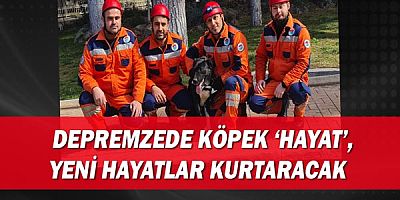 Depremzede köpek ‘Hayat’, yeni hayatlar kurtaracak  