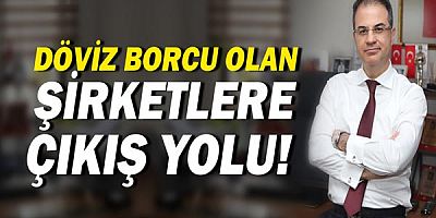 Döviz borcu olan şirketlerin çıkış yolu ihracat ve öz sermaye!