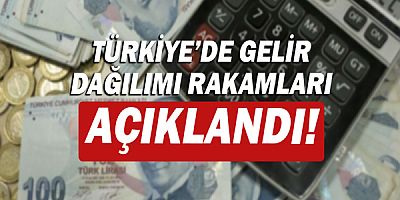 En yüksek gelir grubunun toplam gelirden aldığı pay %46,7 oldu!