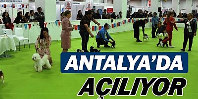 Evcil Hayvan Ürünleri Fuarı PETZOO Antalya, 17 Eylül'de Açılıyor