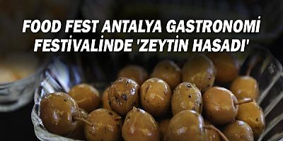 Food Fest Antalya Gastronomi Festivalinde ‘Zeytin Hasadı’