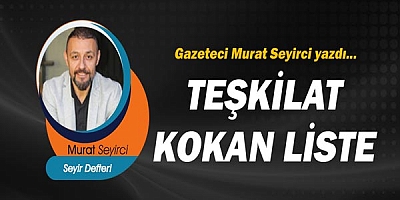 Gazeteci Murat Seyirci yazdı.. Teşkilat kokan Liste!