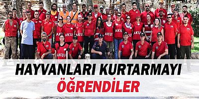 Hayvanları kurtarmayı öğrendiler