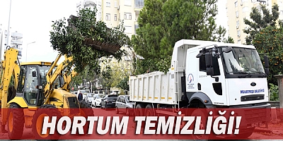 Hortum temizliği!