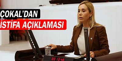 İyi Parti'den istifa eden Çokal'dan açıklama