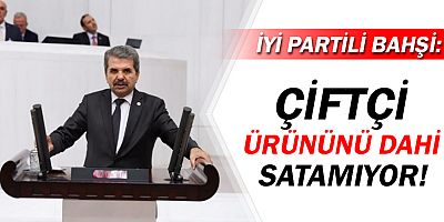 İyi Parti Antalya Milletvekili Feridun Bahşi