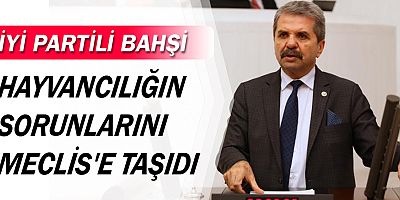 İyi Partili Bahşi hayvancılığın sorunlarını Meclis'e taşıdı