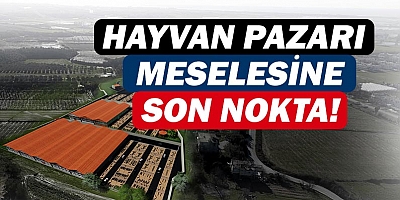 Manavgat Belediyesi canlı hayvan pazarı konusunda açıklama yaptı!