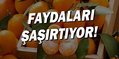  Mandalinanın Faydaları Nelerdir? Ne Kadar Tüketmeliyiz? 