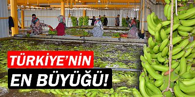 MATSO'dan Türkiye’nin en büyük muz tesisine ziyaret