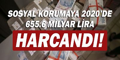 Sosyal korumaya 2020'de 655,6 milyar lira harcandı!