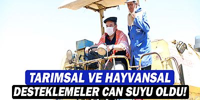 Tarımsal ve hayvansal desteklemeler can suyu oldu!