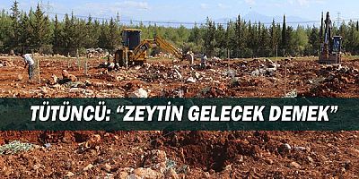 Tütüncü: “Zeytin gelecek demek”