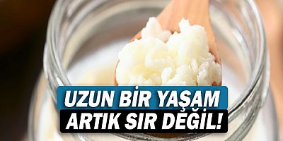 Uzun Bir Yaşam Artık Sır Değil: Su Kefiri!