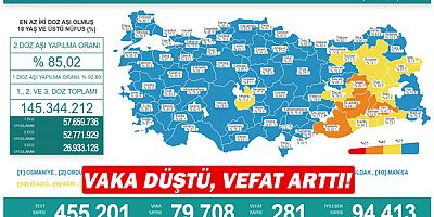 Vaka düştü, vefat arttı!