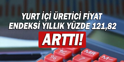 Yurt içi üretici fiyat endeksi yıllık yüzde 121,82, arttı!