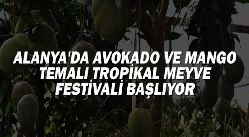 Alanya'da Avokado ve Mango temalı tropikal meyve festivali başlıyor!