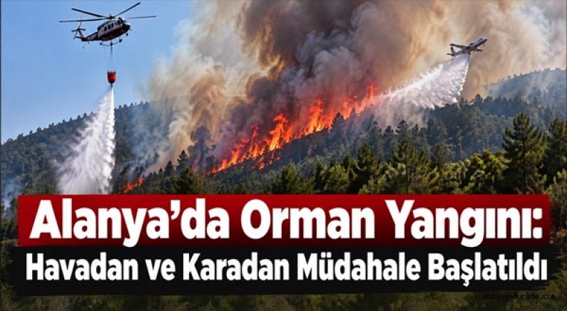 Alanya'da Orman Yangını: Havadan ve Karadan Müdahale Başlatıldı