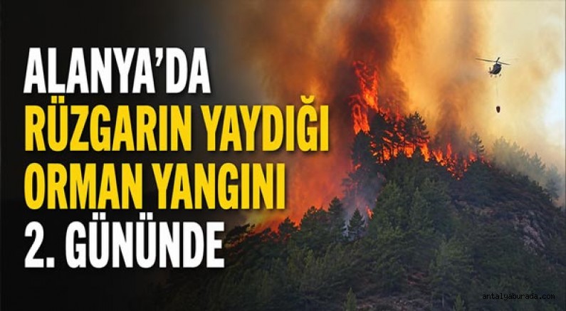 Alanya'da Rüzgarın Yaydığı Orman Yangını 2. Gününde