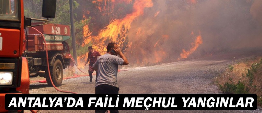 Antalya'da orman yangını...