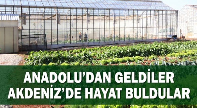 Ata Tohumları Akdeniz Üniversitesi’nde yeşerdi