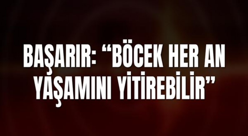 Başarır: “Böcek her an yaşamını yitirebilir”