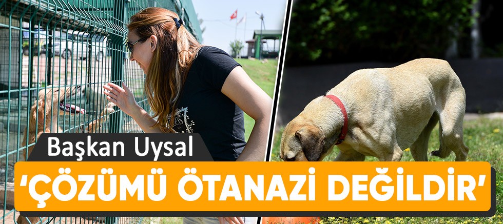 Başkan Uysal, ‘Çözümü ötanazi değildir’