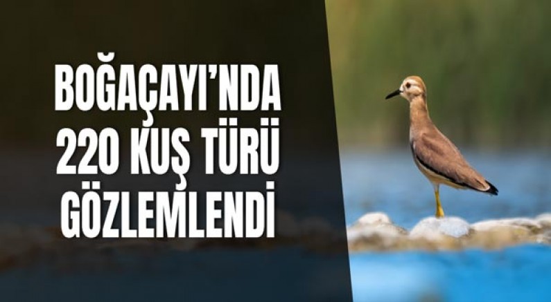 Boğaçayı’nda 220 kuş türü gözlemlendi