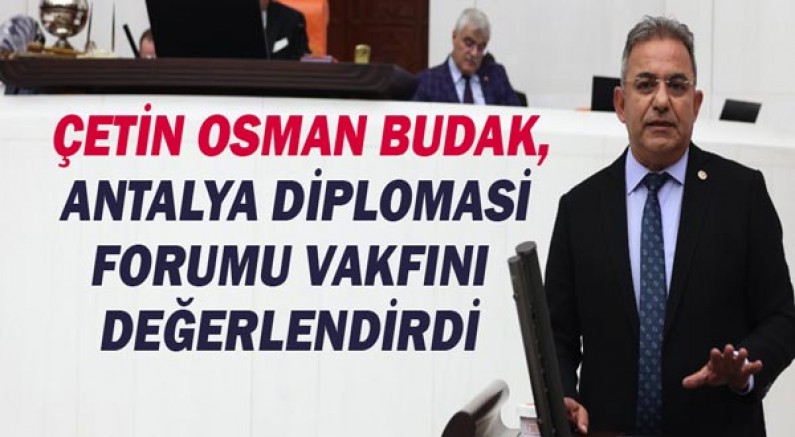Çetin Osman Budak ADF Vakfını değerlendirdi!
