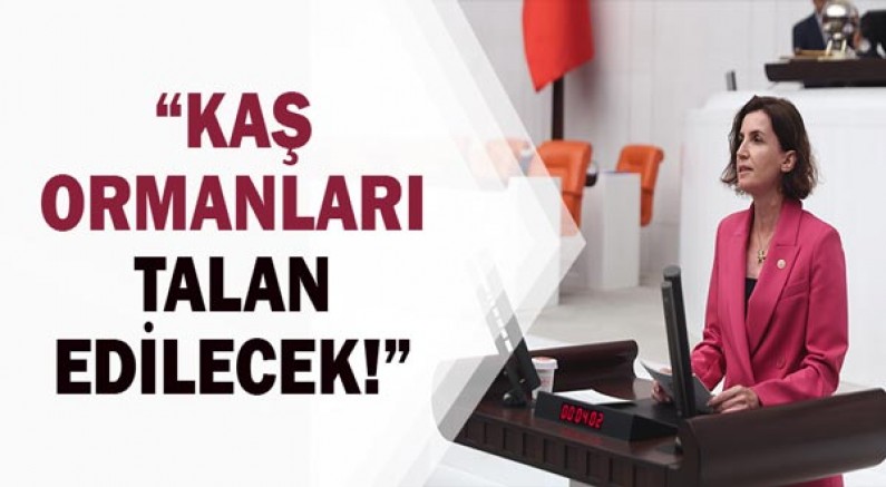 CHP Antalya Mv. Aliye Coşar: Kaş Ormanlarına Maden Ocağı tehditi!