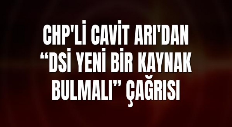 Chp'li Cavit Arı'dan “Dsi Yeni Bir Kaynak Bulmalı” Çağrısı