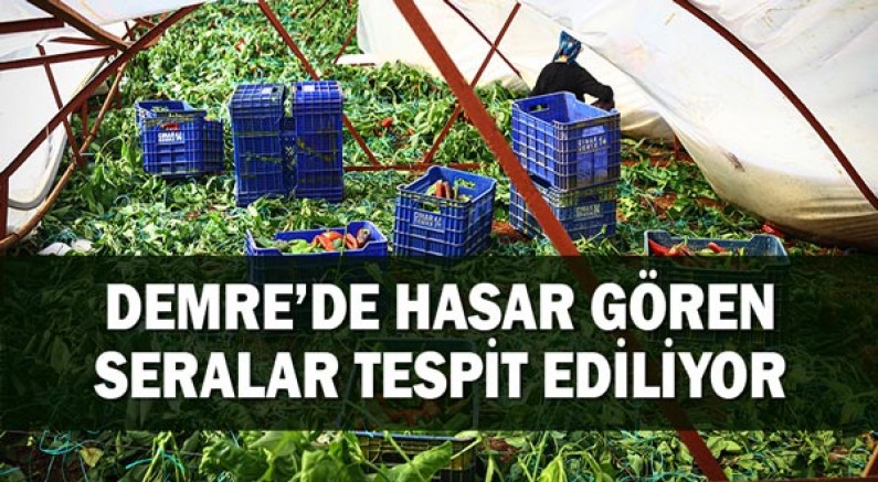 Demre’de hasar gören seralar tespit ediliyor