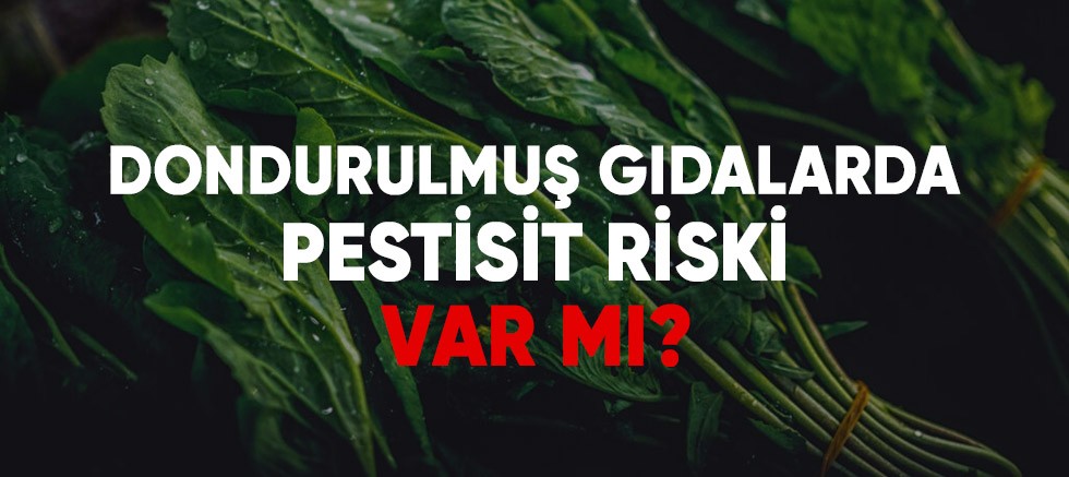 Dondurulmuş Gıdalar Pestisit Tehlikesine Karşı Güvenli mi?