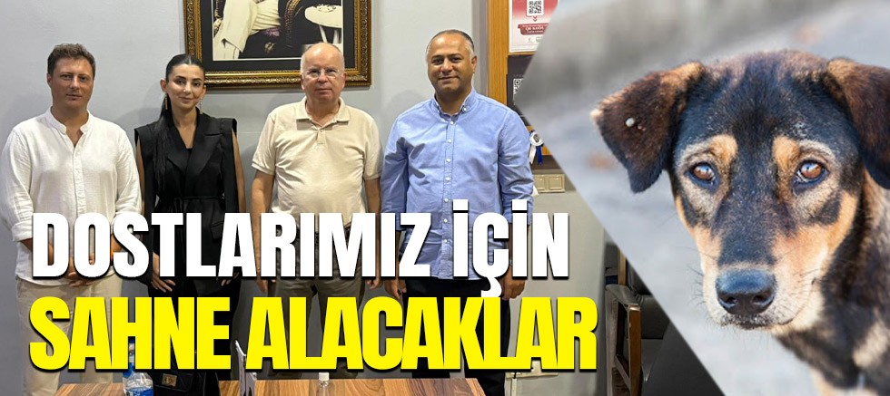 Geleceğin müzisyenleri sokak hayvanları için konser verecek.