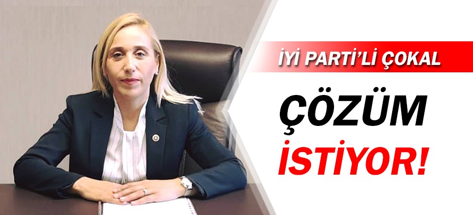 İYİ Parti'li Çokal'dan zam açıklaması