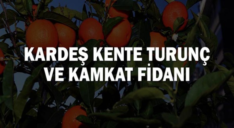 Kardeş kente turunç ve kamkat fidanı