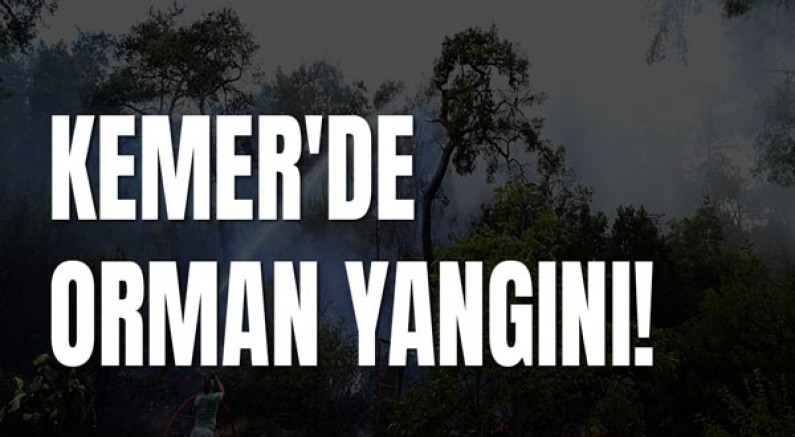 Kemer'de orman yangını!